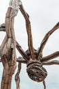 Detail of the Maman Statue by Louise Burgeois