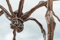 Detail of the Maman Statue by Louise Burgeois