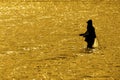 Man with Beard Flyfishing Fly Fishing in River Silhouette with Sunlight Royalty Free Stock Photo