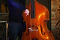 detail of man playing double bass