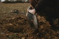 Detail of man`s hands with shovel in it, during digging a hole in ground after positive signal of metal detector Royalty Free Stock Photo