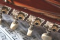 Detail of mandolin keys leaning on vanished Royalty Free Stock Photo