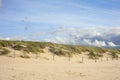 Detail of meadow at the beach with dramatic blue sky in Bergen, Netherlands