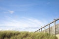 Detail of meadow and blue sky with copy space at the beach in Bergen, Netherlands