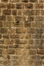 Detail of Medieval limestone wall, with pigeons.
