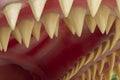 Detail of the megalodon`s teeth. The Megalodon is an extinct megatoothed shark that existed in prehistoric era Royalty Free Stock Photo