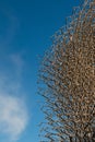 Detail of Megastructure made of Aluminium Beehive