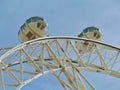 Detail of the Melbournestar Royalty Free Stock Photo