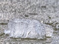 Detail of melting ice block floating in the river. Frozen river surface