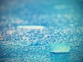 Detail of melting ice block floating in the river. Frozen river surface