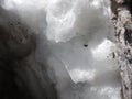 Detail of a melting snow in a crevasse