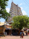 Detail, Menakshi Temple Madurai