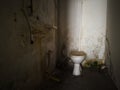 Detail from messy interior of abandoned building. Restroom with mold and moisture on a wall with a humidity dirty and unhealthy