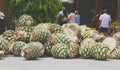 Detail of mezcal factory in Oaxaca Mexico