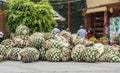 Detail of mezcal factory in Oaxaca Mexico