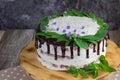 detail on a mint cake with mascarpone and chocolate decorated with mint leaves and flowers of speedwell