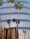 Detail of modern glass building and palm trees in Los Angeles, California. Royalty Free Stock Photo