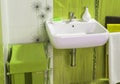 Detail of modern private bathroom interior in green with sink Royalty Free Stock Photo