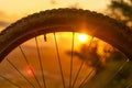 Detail of a mountain bike wheel at sunset. Close-up of bicycle tire. Enduro, downhill, cross country. Space for Text. Royalty Free Stock Photo