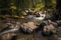 Detail of a mountain river flowing through a forest