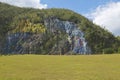 Detail of Mural de la Prehistoria commissioned by Che Guevara in the Valle de Vinales, in central Cuba