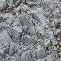 Detail of natural rough stone, rock background