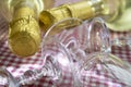 Detail of the neck of a champagne bottle Royalty Free Stock Photo