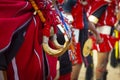 Detail of neckless from naga costume, during hornbill festival in kohima Royalty Free Stock Photo