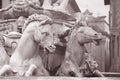 Detail on Neptune Fountain - Fontana di Nettuno by Ammannati (1565), Florence