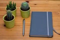 Detail of a notebook and small cactuses on wooden table, minimalism