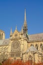 Detail of Notre Dame cathedral, Paris, France Royalty Free Stock Photo