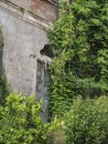 Detail of an old abandoned villa: wooden door surrounded by vegetation Royalty Free Stock Photo