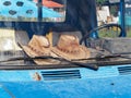 Detail of an Old Blue Truck With Handmade Leather Hats Royalty Free Stock Photo