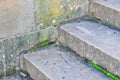 Green Moss on Old Sandstone Steps
