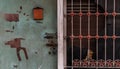 Detail of an old house with blue wooden door and steel window frame Royalty Free Stock Photo