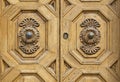 Detail of an old italian wooden door with floral decoration Royalty Free Stock Photo