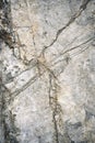 Detail old limestone rock