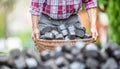 Detail of old man's arms picking up a basket full of coal briquettes with a blurred pile of briquettes in the front Royalty Free Stock Photo