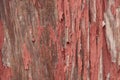 Detail of old, peeling red paint on small, wood out building background Royalty Free Stock Photo