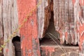 Detail of old, peeling red paint on small, wood out building background, animal habitat Royalty Free Stock Photo