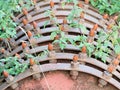 Detail of old rotten mulching tool in garden.  Abandoned tool Royalty Free Stock Photo