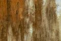 Old rusted metal sheet grunge background Royalty Free Stock Photo