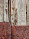 Detail of an old rusty iron lock on a very old sheet metal and wood door nailed with old metal nails Royalty Free Stock Photo