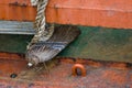 Detail from an old ship, a tugboat Royalty Free Stock Photo