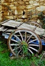 Detail of an old wagon in the undergrowth.