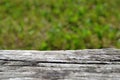 Old wooden bench on blur of fresh green abstract. Royalty Free Stock Photo