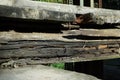 detail of an old wooden log Royalty Free Stock Photo