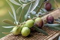 Detail of olive tree branch. Closeup of green olives fruits and leaves Royalty Free Stock Photo