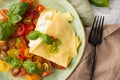 Detail of an omlete with burrata, basil, tomatoes and chilli Royalty Free Stock Photo