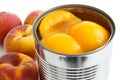 Detail of open can of peach halves in syrup on white background Royalty Free Stock Photo